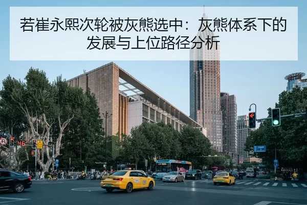 ruo-cui-yong-xi-ci-lun-bei-hui-xiong-xuan-zhong-hui-xiong-ti-xi-xia-de-fa-zhan-yu-shang-wei-lu-jing-fen-xi-2-492.jpg
